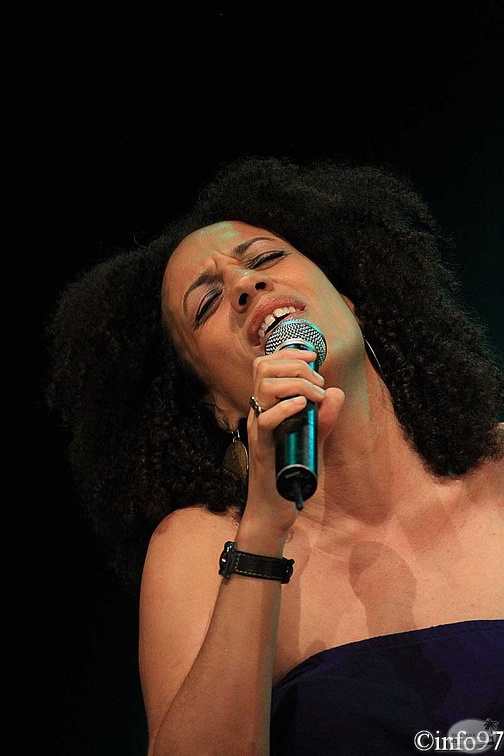 terre-de-blues2012-artiste5-12.jpg