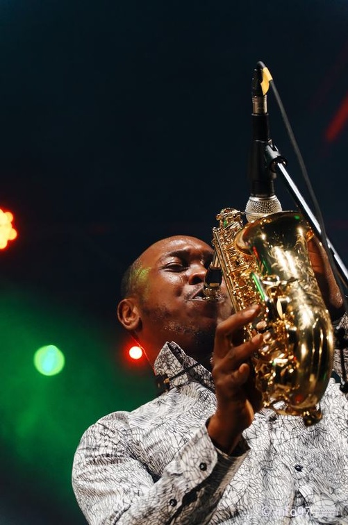 seun-kuti-36.jpg