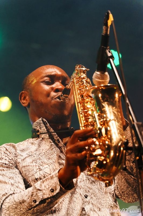 seun-kuti-37.jpg