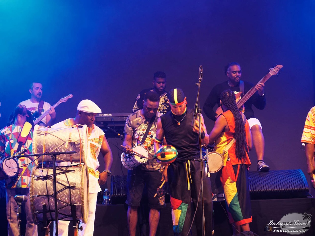 P1041521terre-de-blues2.jpg