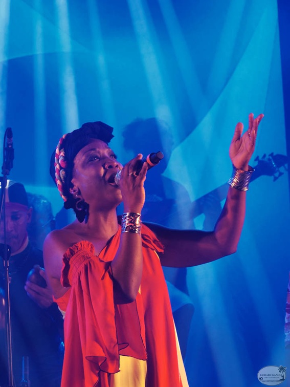 P1041565terre-de-blues2.jpg