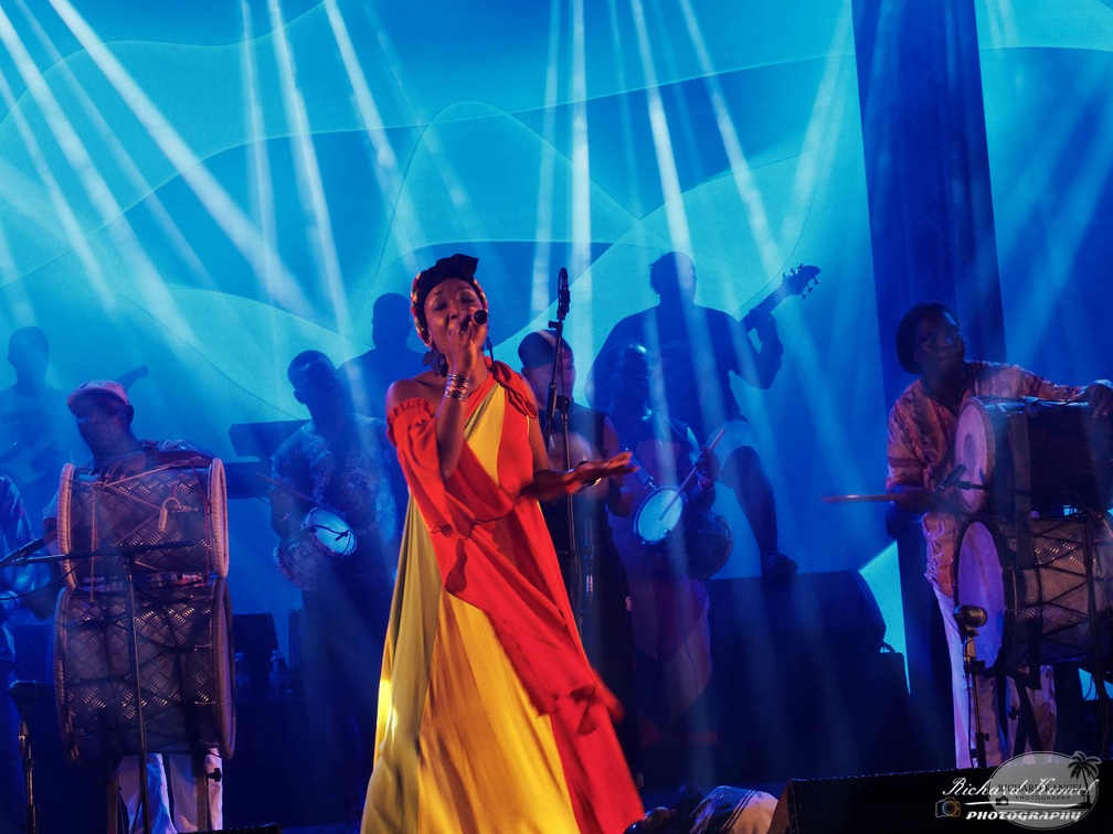 P1041570terre-de-blues2.jpg