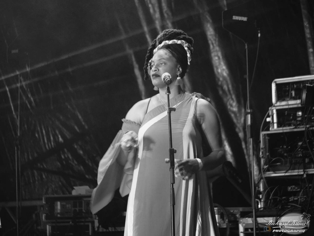 P1041577terre-de-blues2.jpg