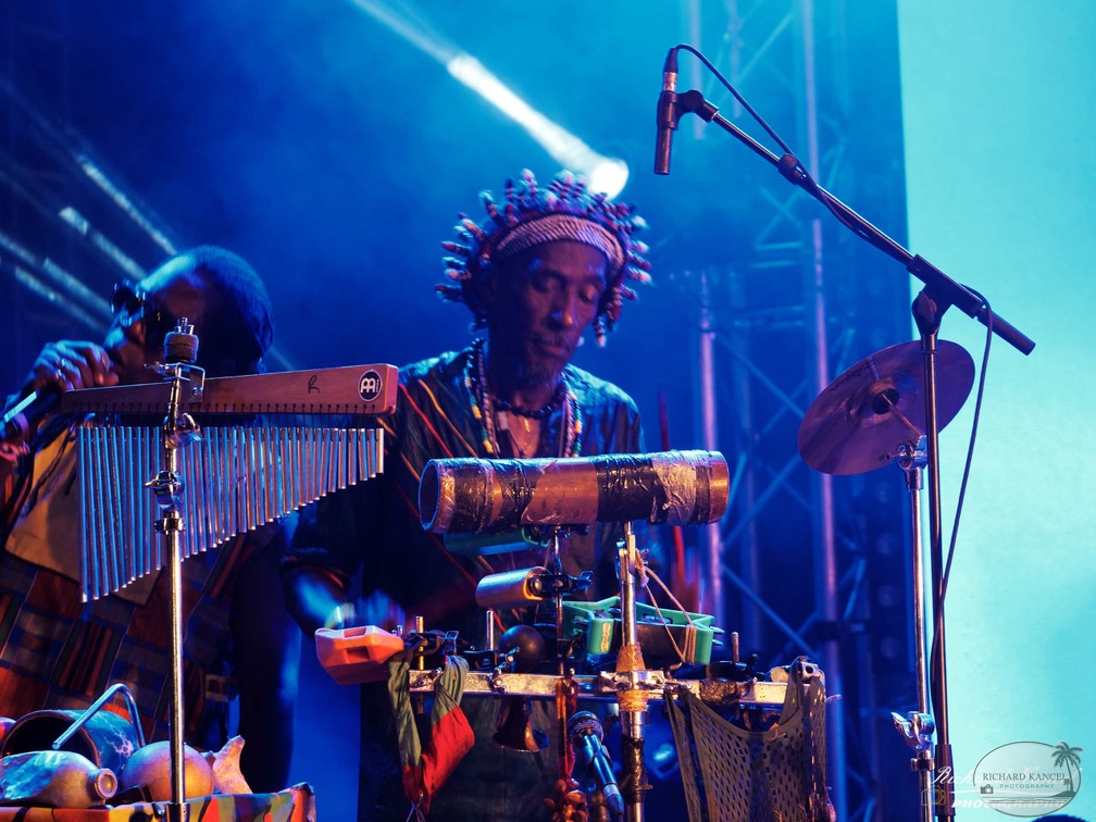 P1041580terre-de-blues2.jpg