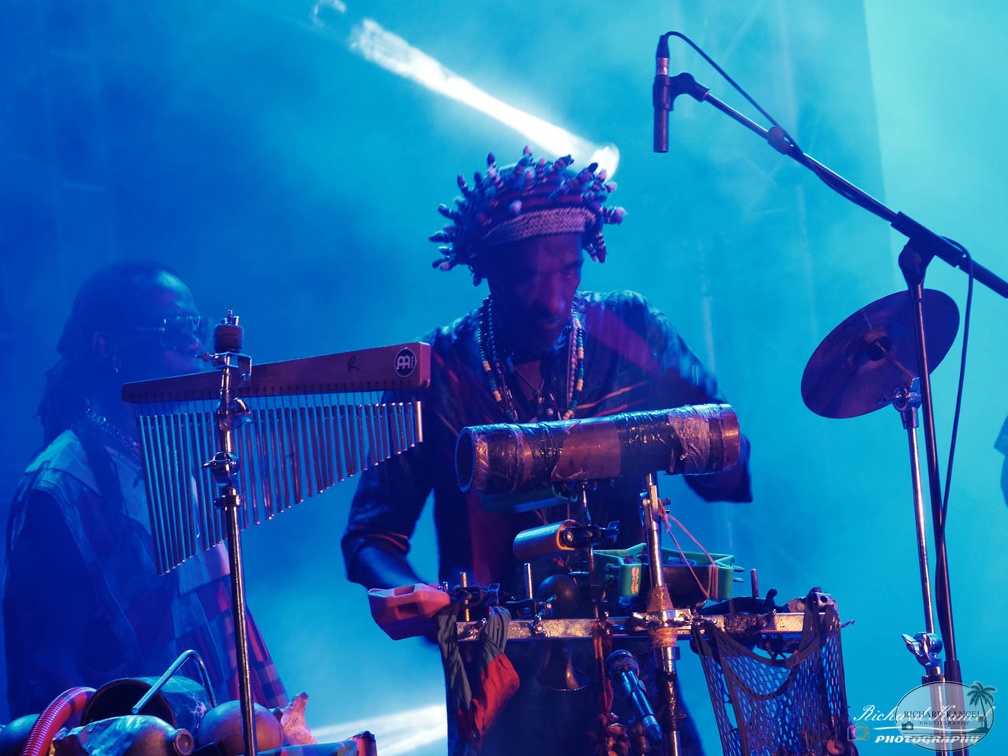 P1041582terre-de-blues2.jpg
