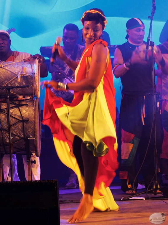 P1041586terre-de-blues2.jpg
