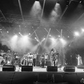 P1041596terre-de-blues2.jpg