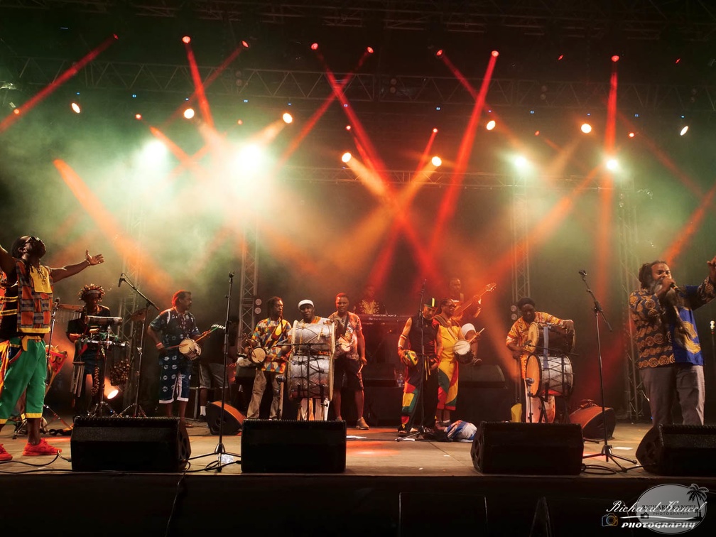 P1041597terre-de-blues2.jpg