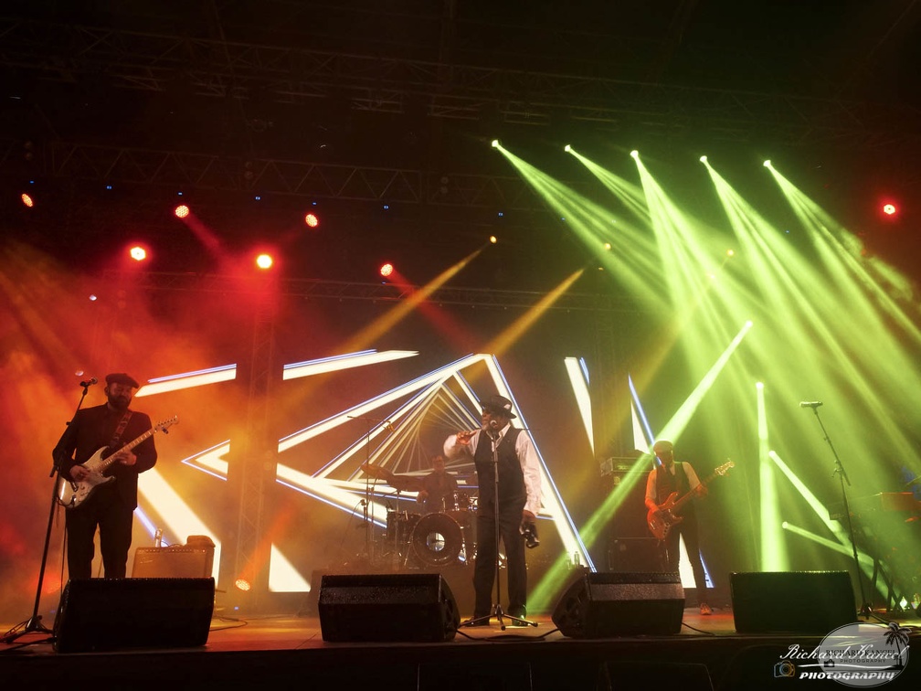 P1041438terre-de-blues2.jpg