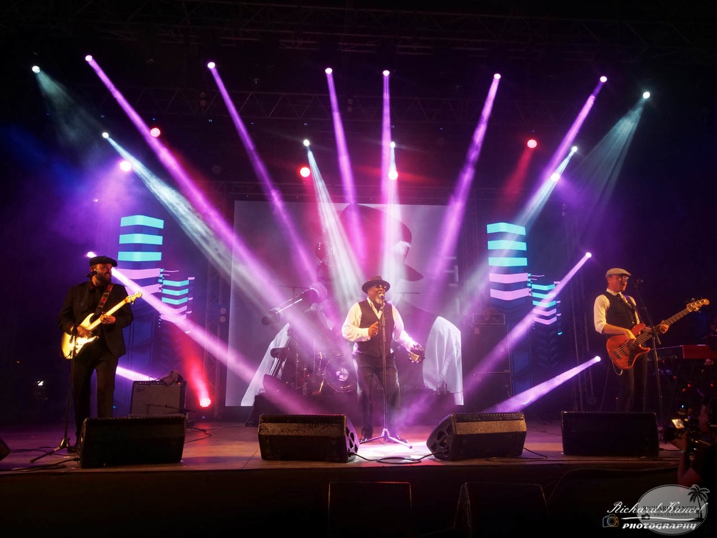 P1041505terre-de-blues2.jpg
