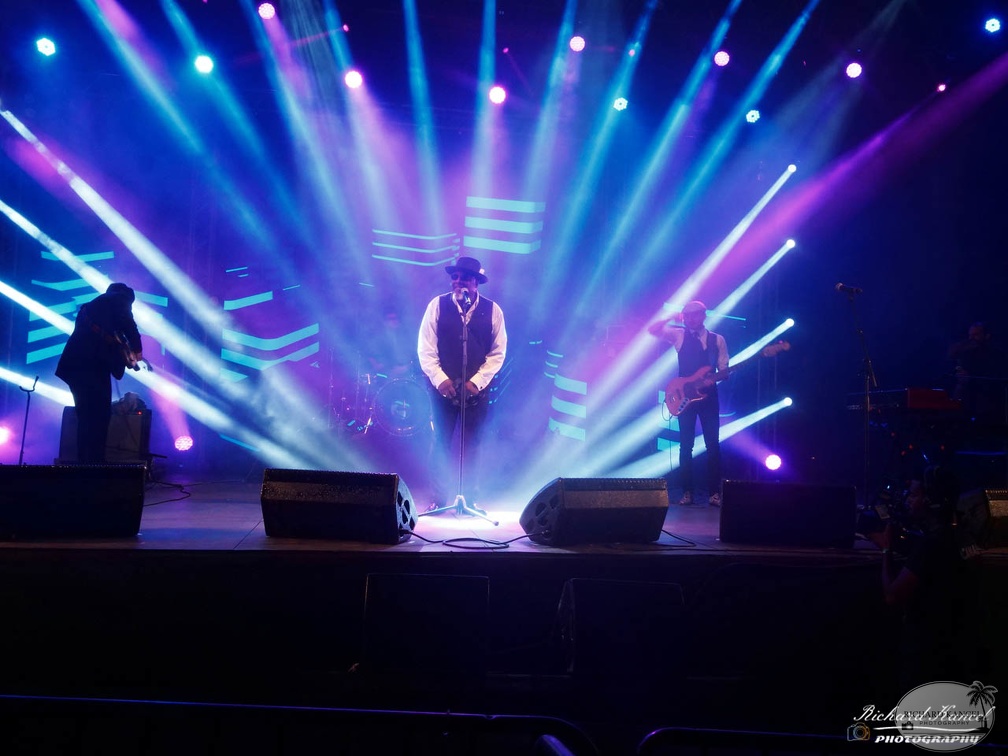 P1041507terre-de-blues2.jpg