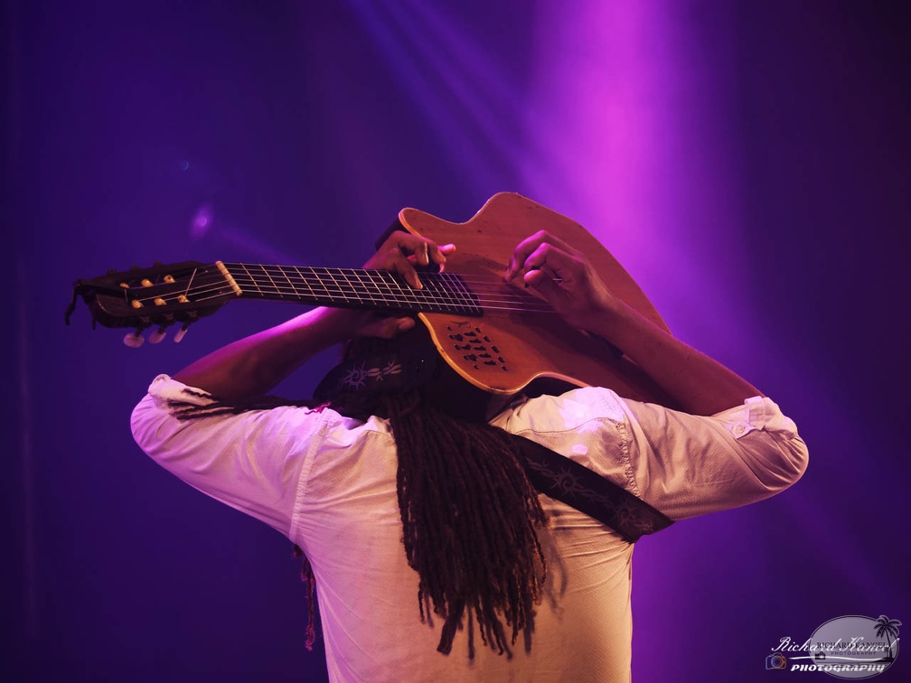 P1041139terre-de-blues1.jpg
