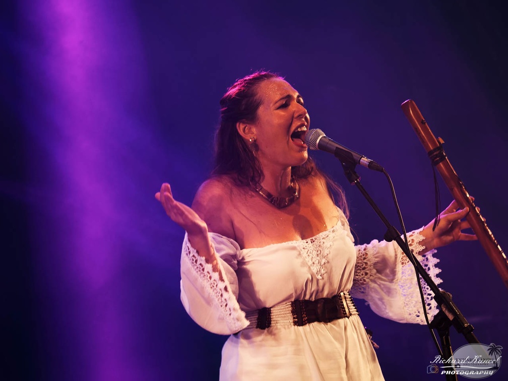 P1041141terre-de-blues1.jpg