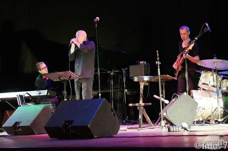 festival-jazz-harmonicas22.jpg