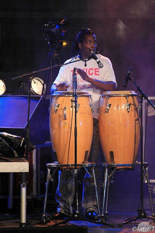 T-vice-12.jpg