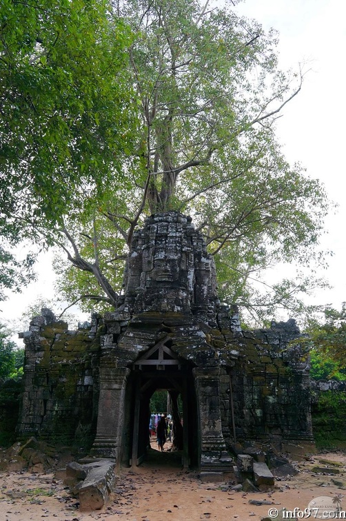 DSC05265grand-circuit-angkor.jpg