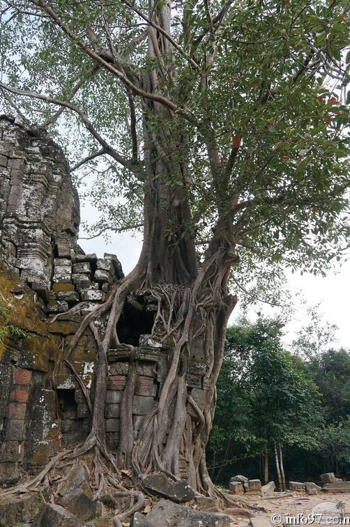 DSC05270grand-circuit-angkor.jpg
