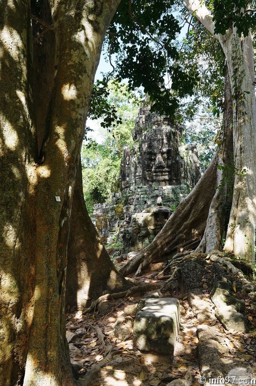 DSC05106petit-circuit-angkor.jpg