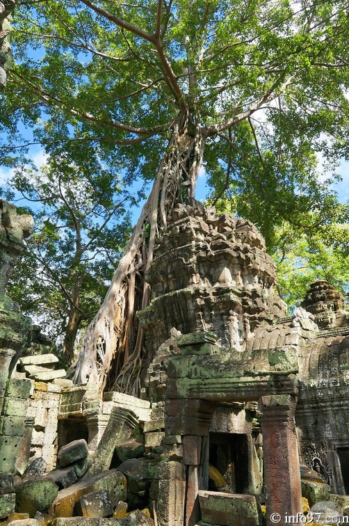 DSC05167petit-circuit-angkor.jpg