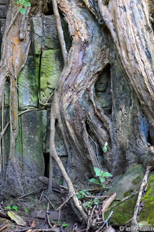 DSC05170petit-circuit-angkor.jpg
