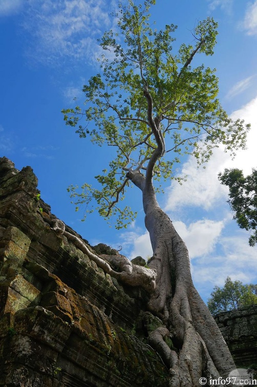 DSC05182petit-circuit-angkor.jpg