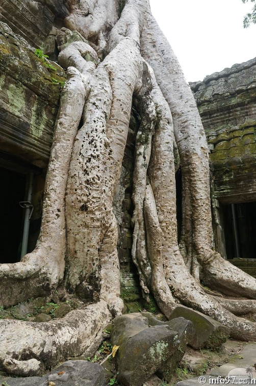 DSC05183petit-circuit-angkor.jpg