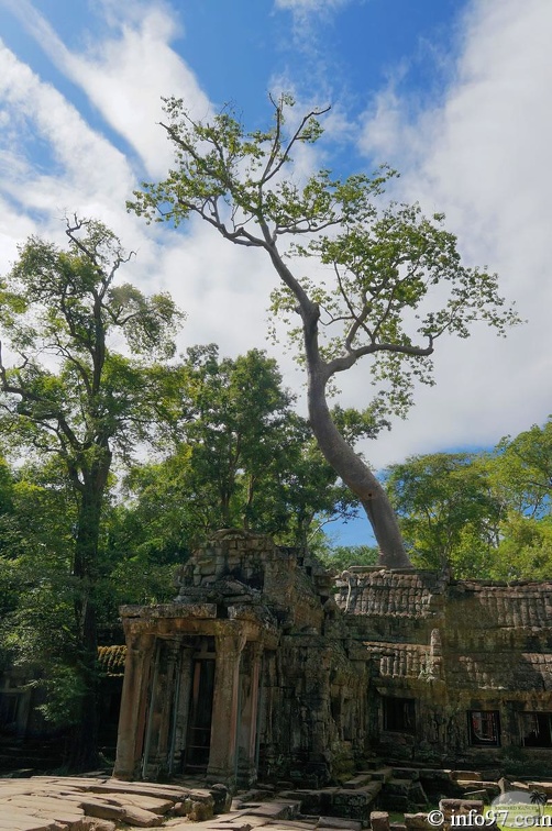 DSC05185petit-circuit-angkor.jpg