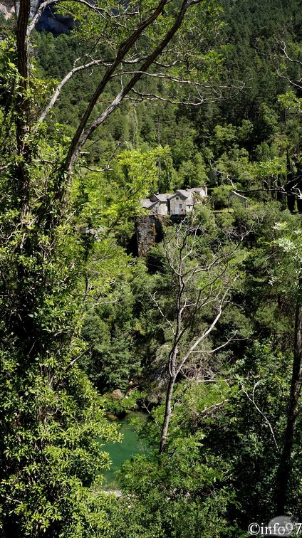 gorges-du-tarn-10.jpg