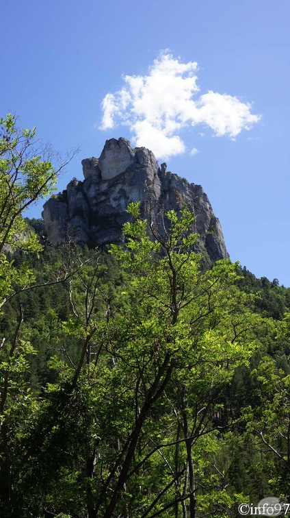gorges-du-tarn-12.jpg