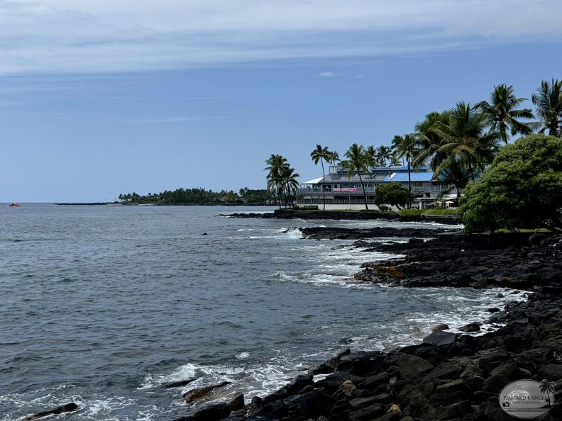IMG_1791-kona.jpg
