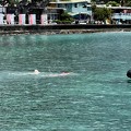 IMG_1805-kona.jpg