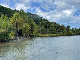 DJI 20251106 111932 595-Huahine