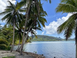 DJI 20251106 112559 245-Huahine