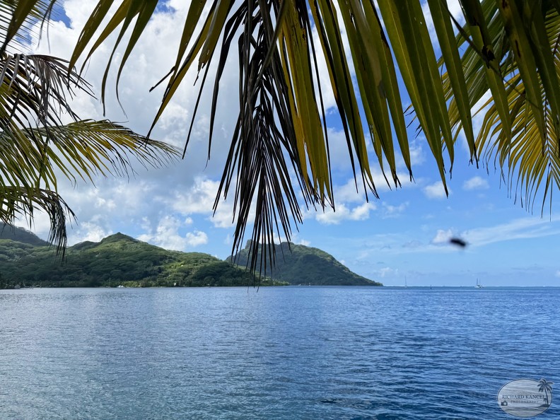 IMG_3344-Huahine.jpg