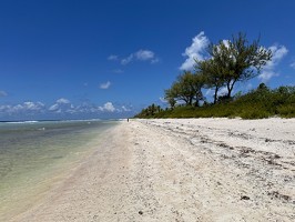 DJI 20251109 121302 712-Rangiroa