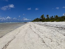 DJI 20251109 121953 779-Rangiroa