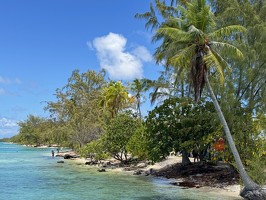 IMG 3557-Rangiroa