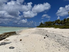 IMG 3621-Rangiroa