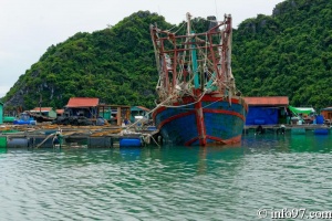 DSC02083baie-halong