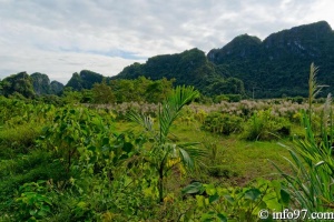 DSC02166baie-halong