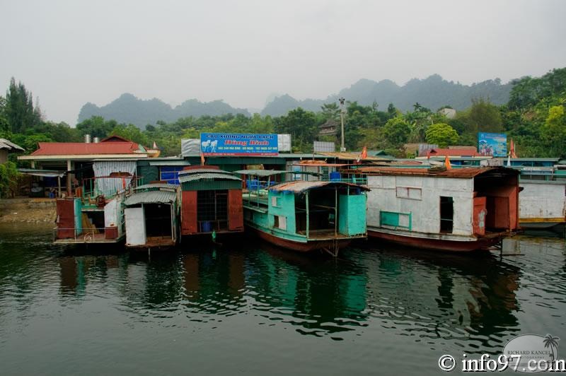 DSC01449Hoa-Binh.jpg