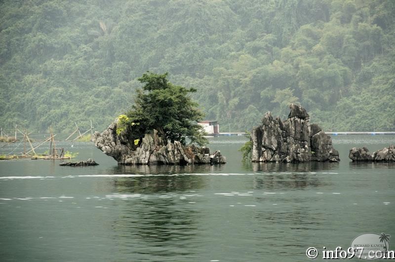 DSC01465Hoa-Binh.jpg