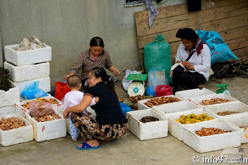 DSC01490Hoa-Binh.jpg