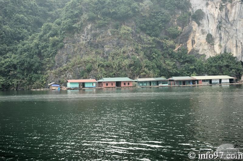 DSC01525Hoa-Binh.jpg