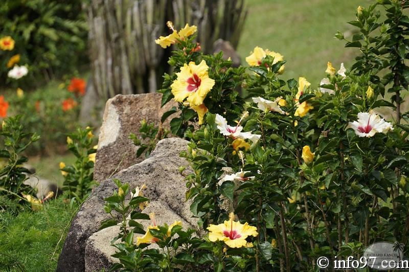 DSC03418dalat-jardin.jpg