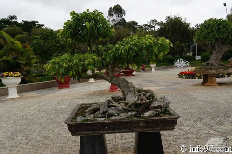 DSC03466dalat-jardin.jpg