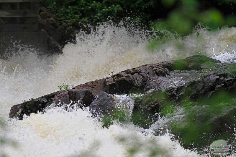 eaux-18.jpg