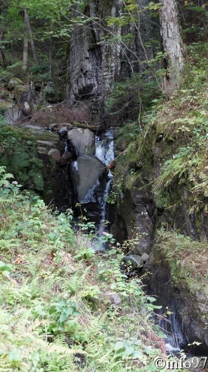 verticale-canyon17.jpg