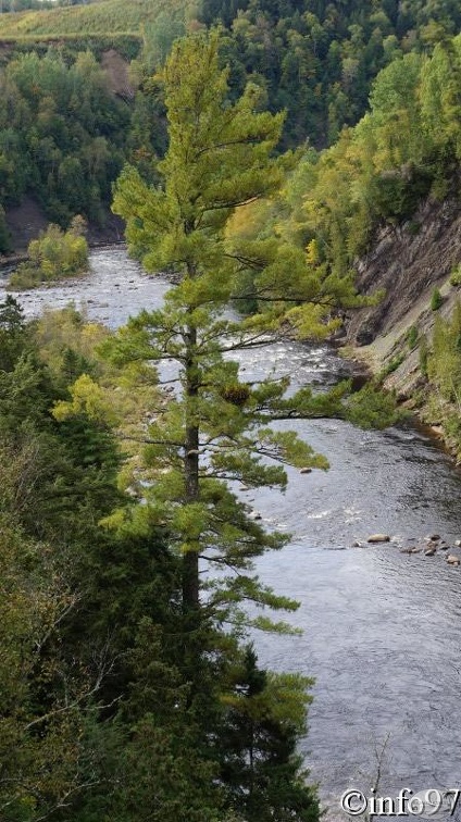 verticale-canyon234.jpg