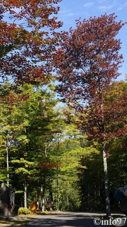 verticale09127.jpg